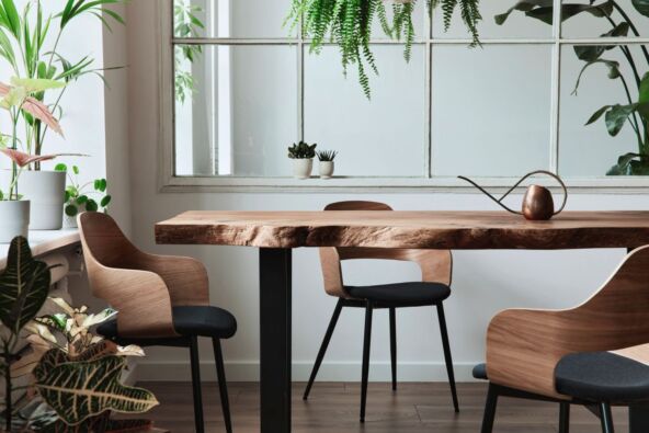 PREVELIKI STO   stock-photo-stylish-and-botany-interior-of-dining-room-with-design-craft-wooden-table-chairs-a-lof-of-plants-1814712359.jpg