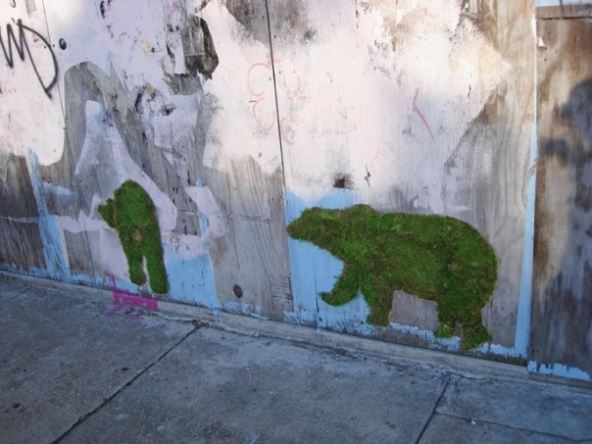 grafiti-od-mahovine.jpg