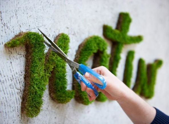 grafiti-od-mahovine.jpg