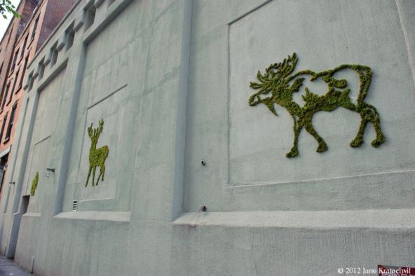 grafiti-od-mahovine.jpg