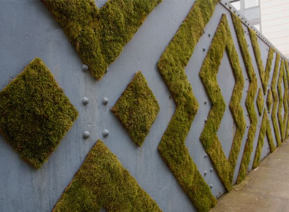 grafiti-od-mahovine.jpg