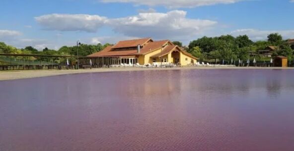 Roze jezero