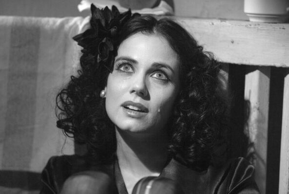 crna dalija.jpg