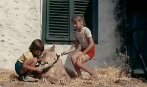 Printscreen / Youtube / Sovjetski filmovi, pozorišne predstave i televizijski programi.jpg