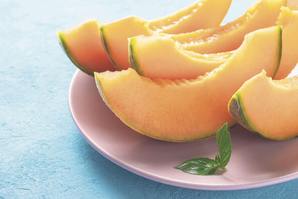 DINJA   stock-photo--slices-of-juicy-cantaloupe-melon-on-a-plate-1926290822.jpg