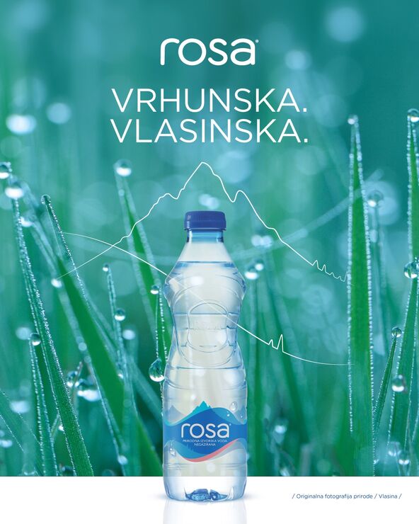 rosa2.jpg