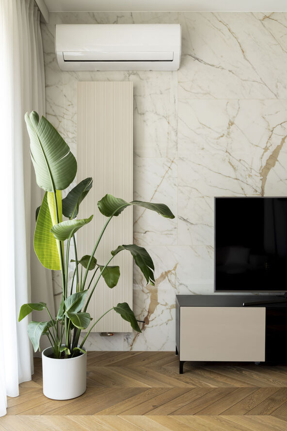 GLAVNA  stock-photo-decorative-houseplant-next-to-tv-in-elegant-room-with-marble-wall-tile-and-wooden-floor-2014924046.jpg