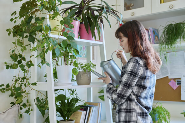 NE PRETERUJTE SA ZALIVANJEM   stock-photo-young-woman-watering-pots-with-plants-from-watering-can-home-interior-2428640729.jpg