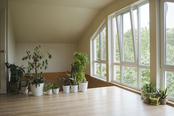 POVECAJTE VLAGU OKO BILJAKA KADRIRATI BILJKE  stock-photo-a-large-hall-with-a-staircase-by-the-window-living-room-in-a-private-house-bright-space-with-2648590137.jpg