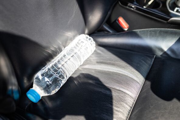 shutterstock_2427629553.jpg
