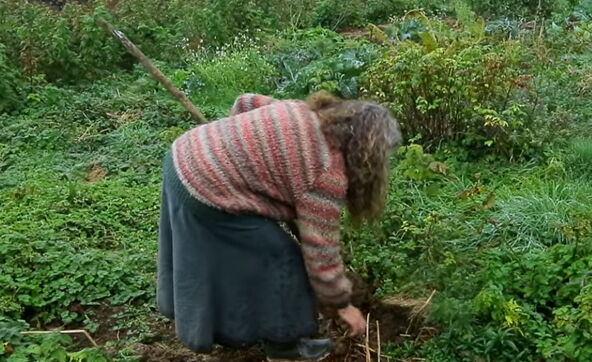 2026-08-18 11_56_23-I Live Like A Hobbit - YouTube.png