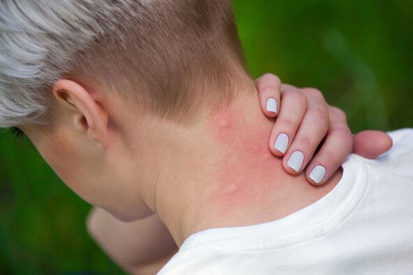 shutterstock_442911190.jpg