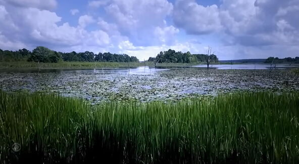 Jezero, mesto zločina