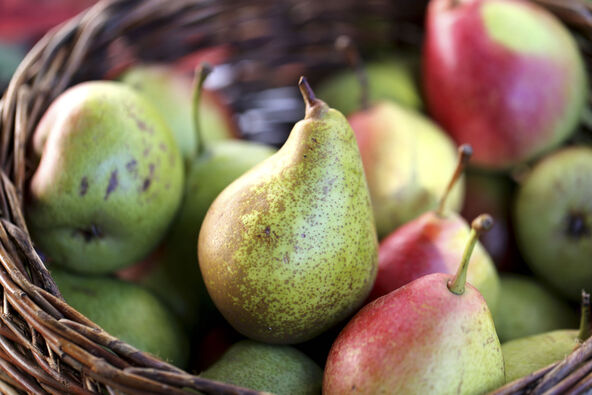 KRUSKE  stock-photo-closeup-of-basket-full-of-fresh-colorfull-pears-1381422413.jpg