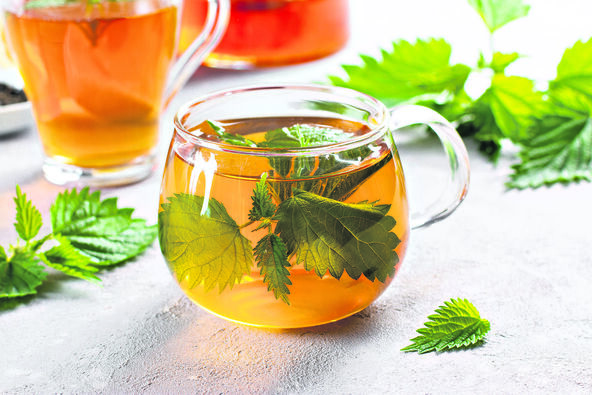 CAJ OD KOPRIVE  stock-photo-nettle-tea-and-fresh-nettle-leaves-a-glass-cup-of-nettle-tea-with-fresh-nettles-on-the-table-1968000346.jpg
