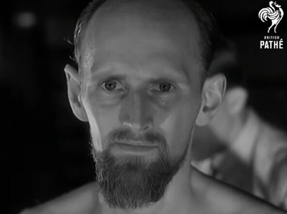 mirin dajos.png