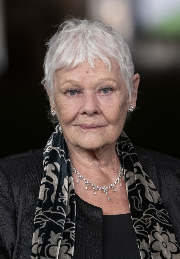 Džudi Denč