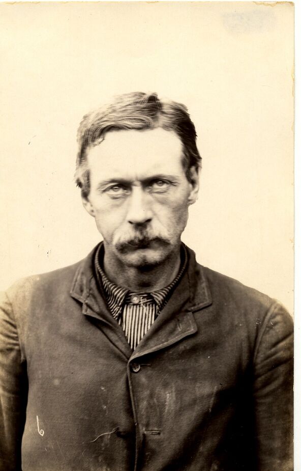Rej Lamfer