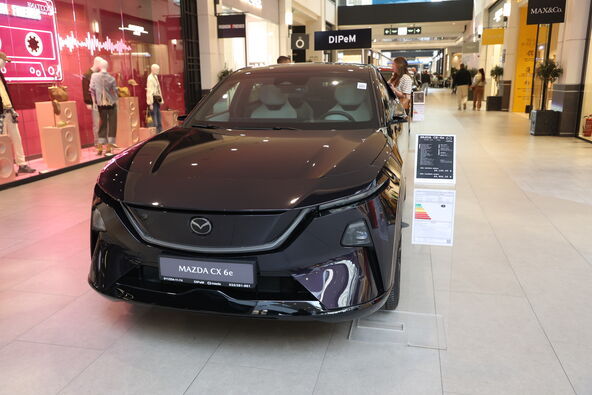 PL6A4938.JPG