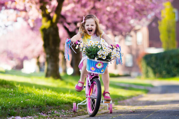 shutterstock_584857795.jpg