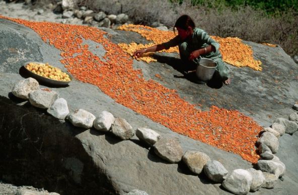 hunza-narod.jpg
