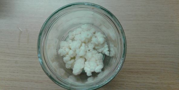 kefir.jpg