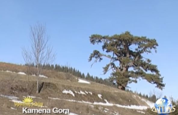 kamena-gora.jpg