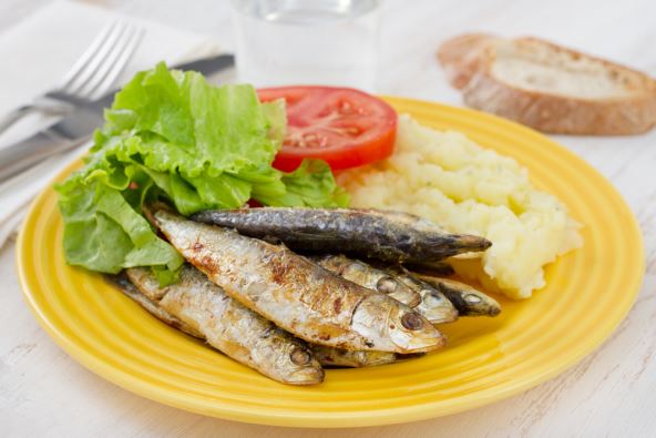sardine.jpg