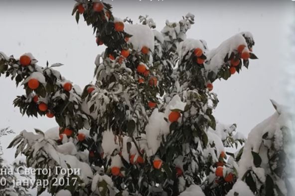 sneg-na-svetoj-gori.jpg