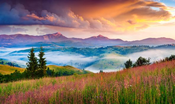 shutterstock-604039928.jpg