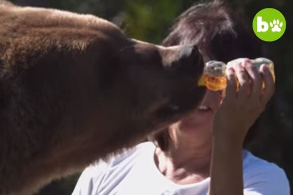 untitled3.jpg