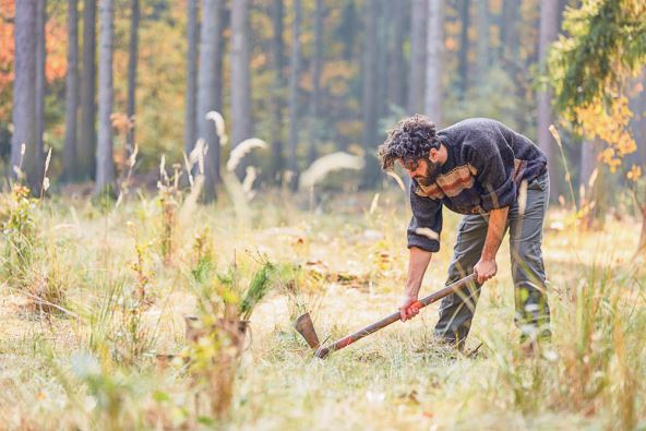 2030141-stockphotoforestworkerdigsaholeforthepineseedlingwiththewiedekopfhaue1531375433-ff.jpg