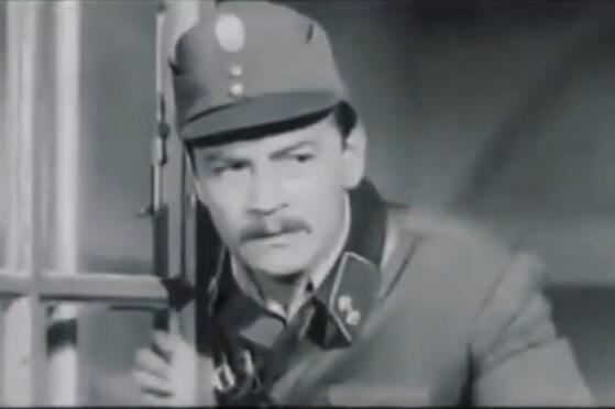 aleksandargavric.jpg