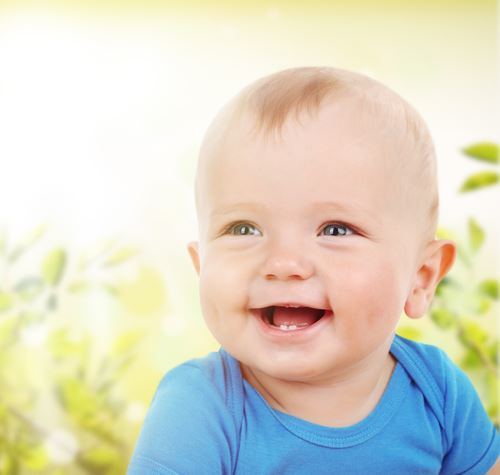 shutterstock-256924687.jpg