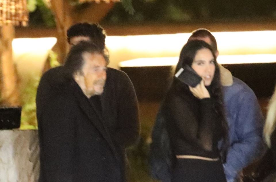 alpacino.jpg