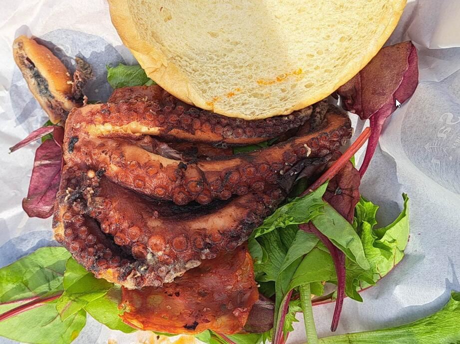 20240815-09-04-05na-letovanju-koje-mi-srbi-obozavamo-sam-porucila-burger-koji-su-mi-naplatili-18-.jpg