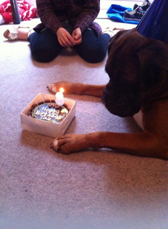 taz.jpg