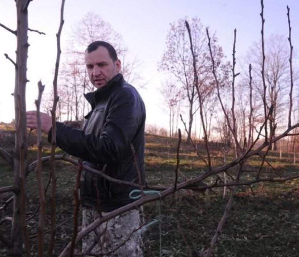 nenad jeydicc.png