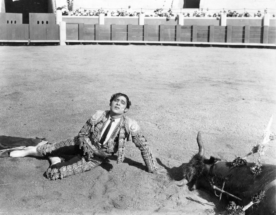 Rudolf Valentino na filmu
