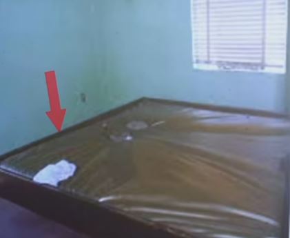 Jeziv slučaj Džošue Filipsa