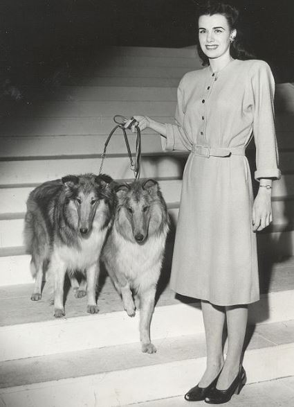 Screenshot 2025-09-16 143234.png