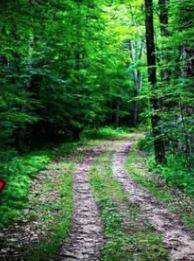 Screenshot 2025-10-14 154128.png