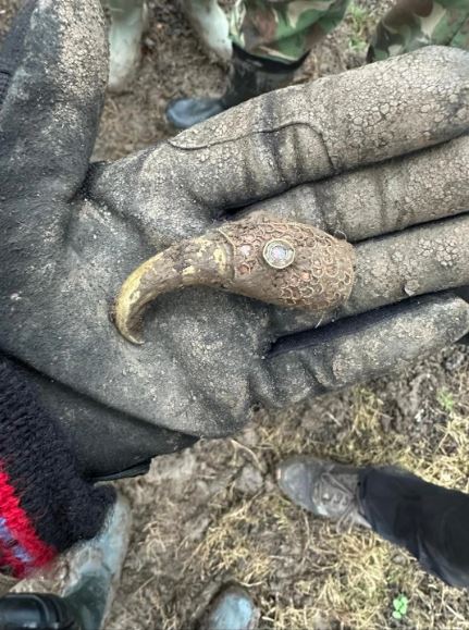 Čovek pronašao blago detektorom za metal