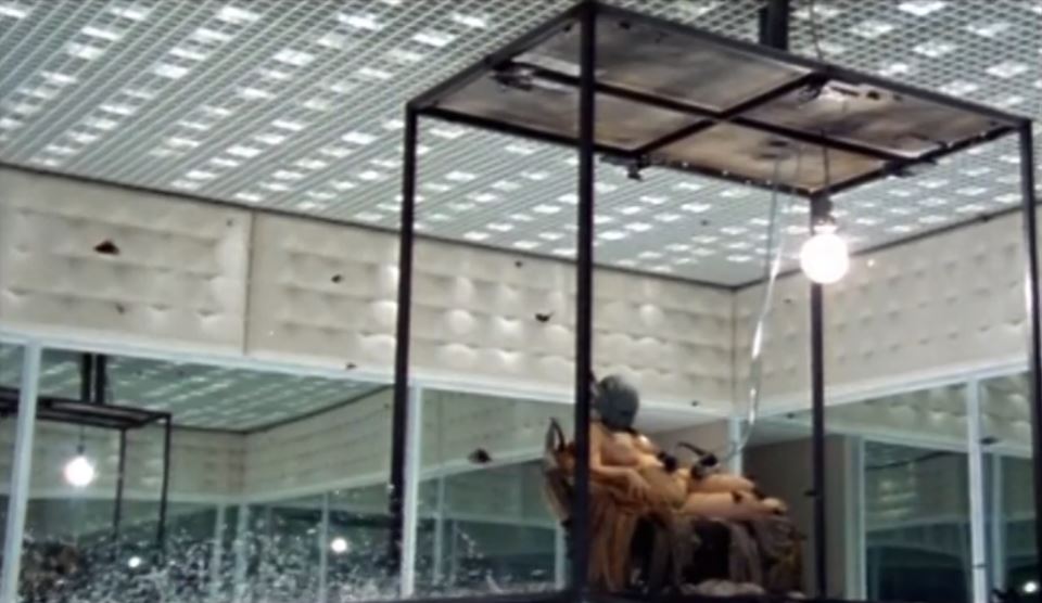 Aleksandar Mekvin Voss 2001