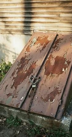 Tajna podruma bake Evelin