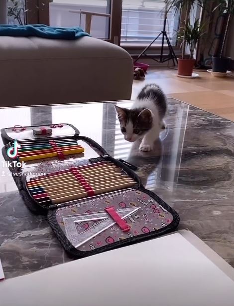 2026-02-24 12_14_24-Stories • Instagram.jpg