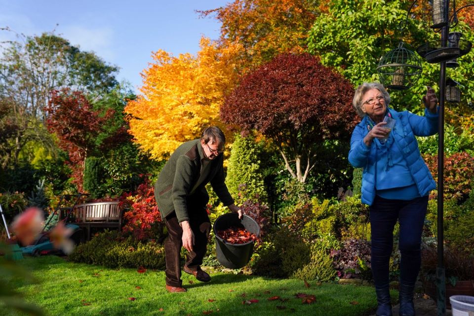 najlepše-dvoriste (4).jpg