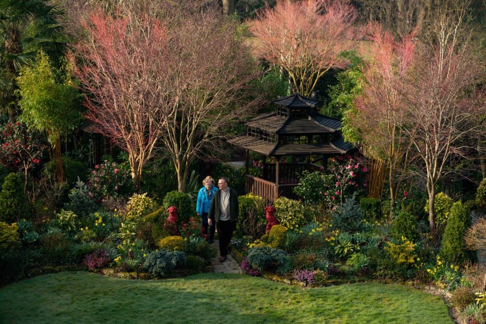 najlepše-dvoriste (9).jpg