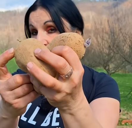 sadnja krompira4.jpg