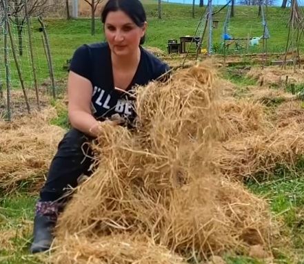 sadnja krompira2.jpg